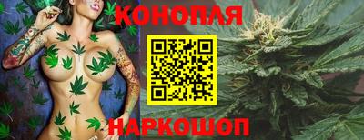 шишки Можга