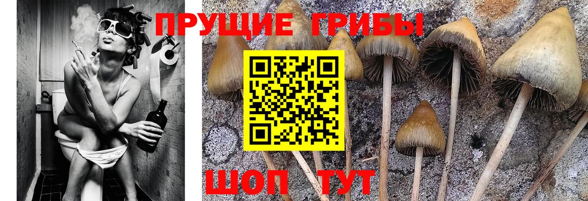 Галлюциногенные грибы Magic Shrooms Ступино